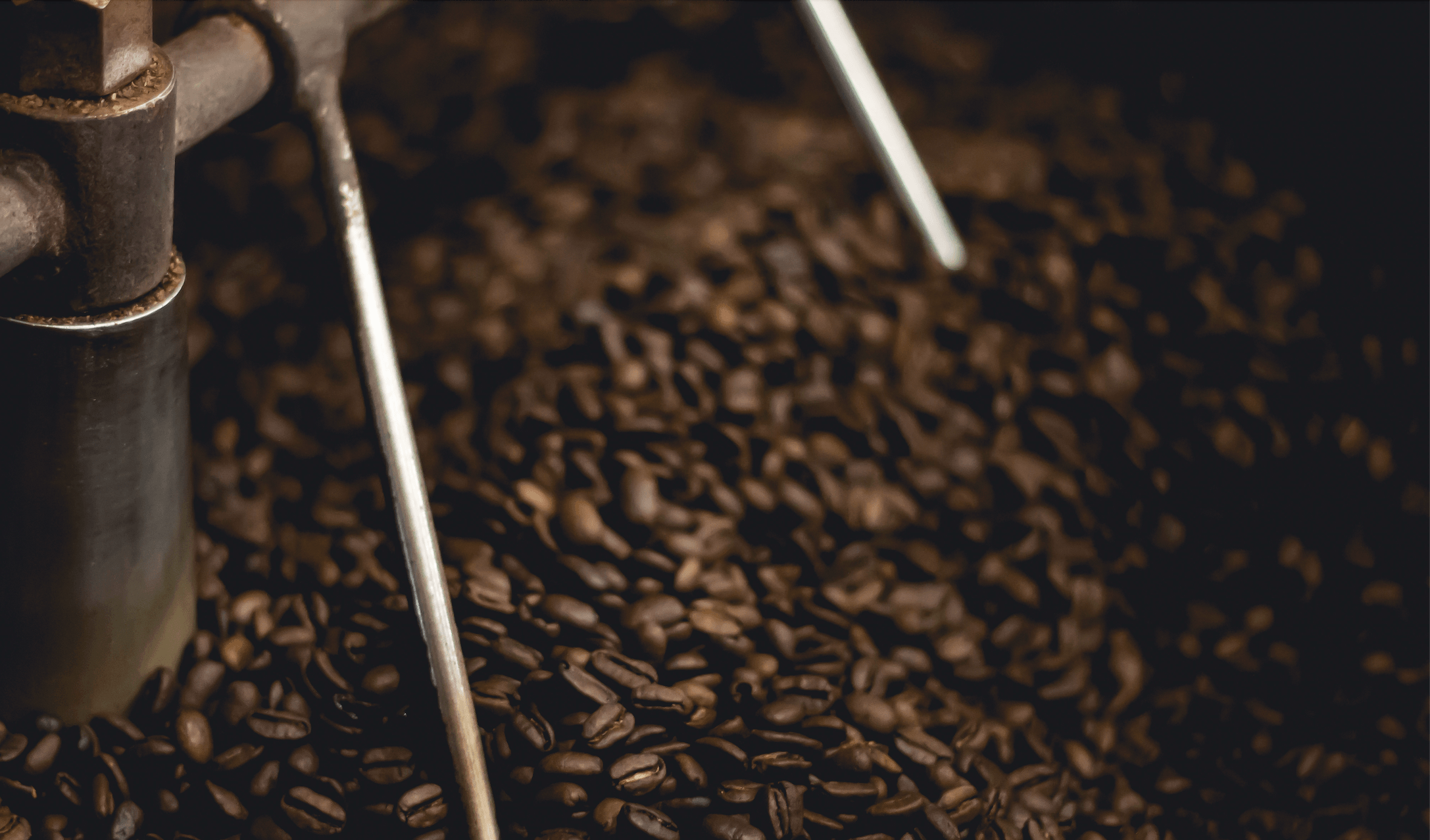 Crafted by Time: Europe’s Coffee Heritage - The Coffee Fool