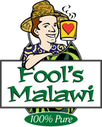 Fool's Malawi - The Coffee Fool